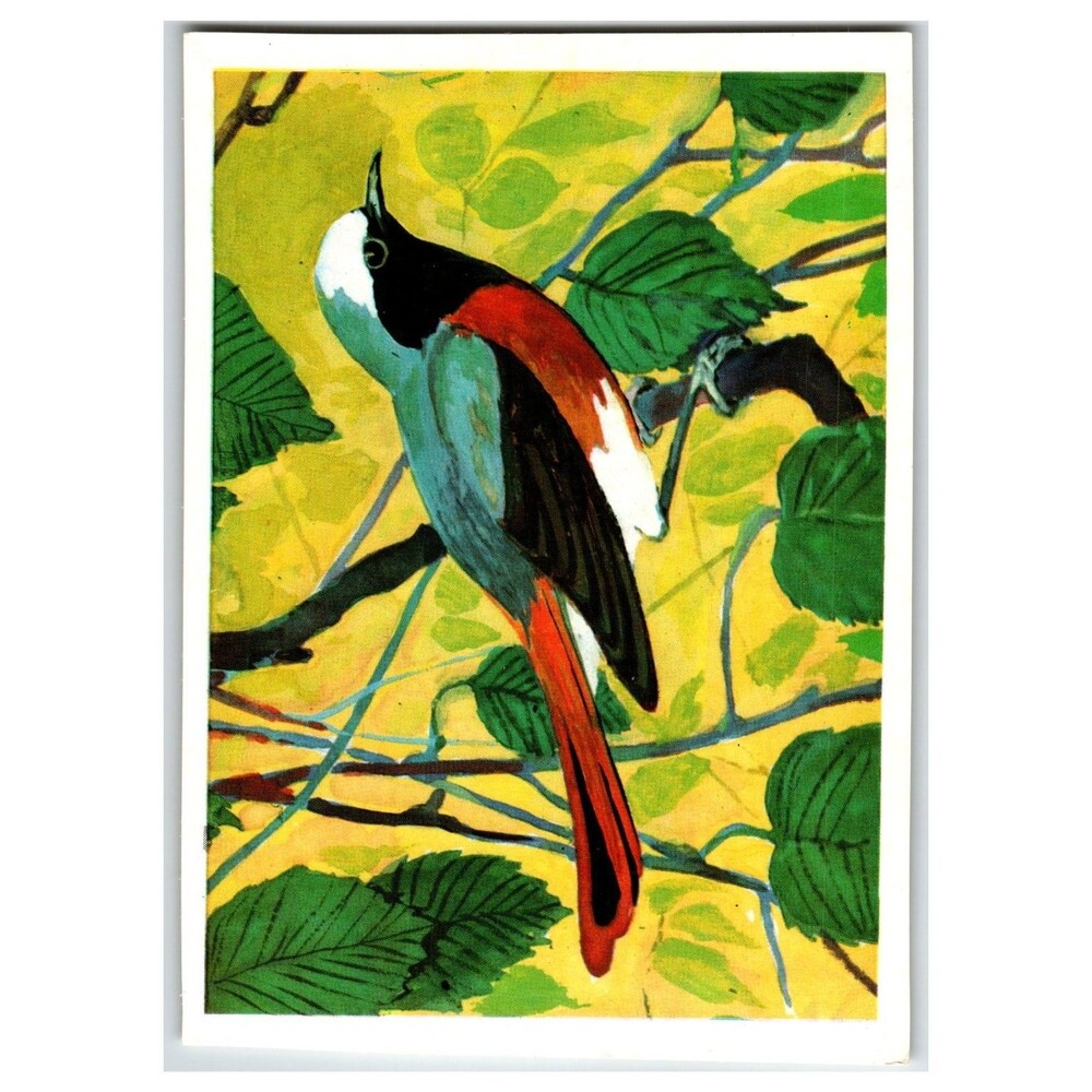 Vintage 1979 Russian Redstart Bird Postcard by N. Albova USSR Art